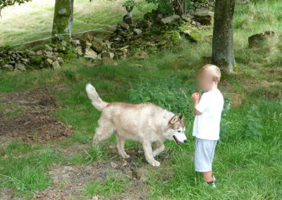 Perro con niño en el campo